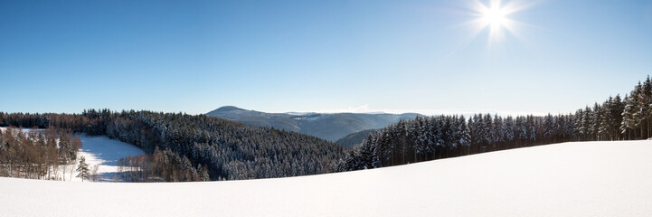 Fototapeta na wymiar Winterlandschaft Schwarzwald