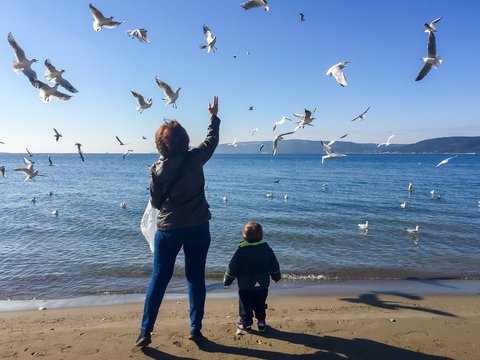 Martıları Besleyen Anne ve &Ccedil;ocuk