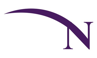 Letter N Modern Logo