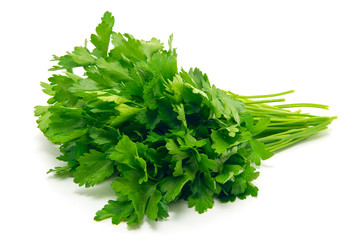 Fresh parsley on white background