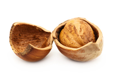 Close up of fresh hazelnuts against white background