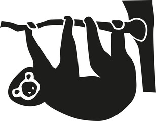 Cute sloth hanging in a tree © Miceking