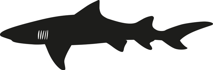 Shark silhouette