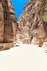 The Siq, the narrow slot-canyon
