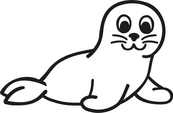 Seal cartoon contour