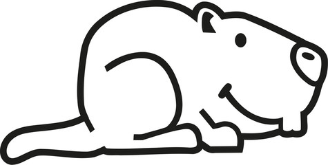 Marmot contour