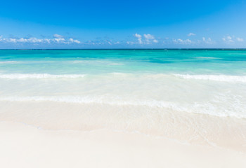 beautiful tropical sea