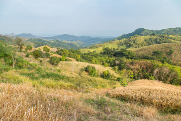 Shifting Cultivation in Northern Thailand