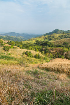 Shifting Cultivation in Northern Thailand