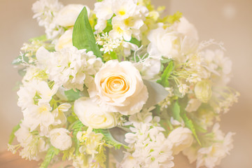 white rose soft focus, blurred background