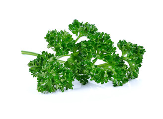 Fototapeta premium parsley isolated on white background