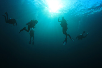 Naklejka na ściany i meble Scuba diving exploring coral reef Similans Thailand