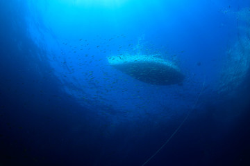 Boat from underwater 