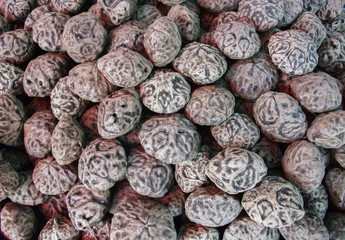 Amulet