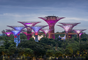Gardens by the bay in Singapore
