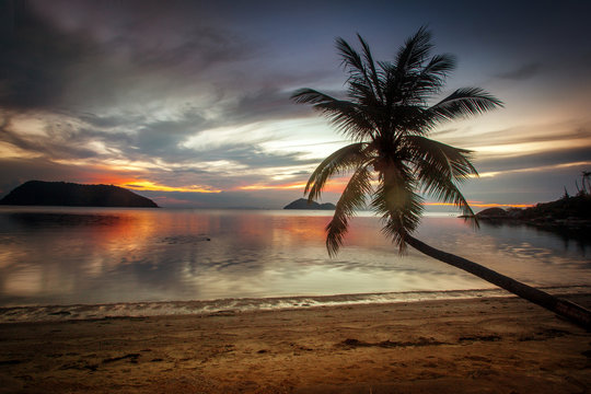 beautiful tropical landscape. Seashore and palm trees at sunset