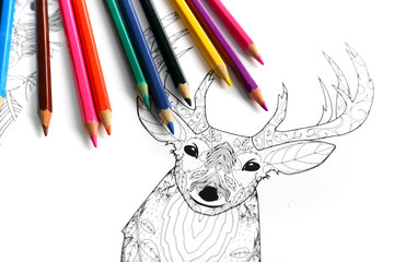 Doodle drawing of deer and colour pencils
