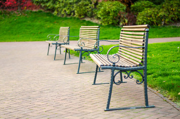 Fototapeta na wymiar Focus on benches in a park