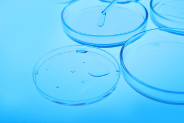 Petri dishes in laboratory with blue light