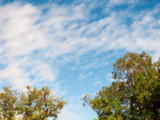 Fototapeta premium White Clouds and Blue Sky