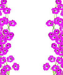 Fototapeta premium petunia flowers isolated on white background