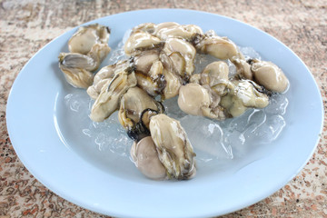 Freshly oysters