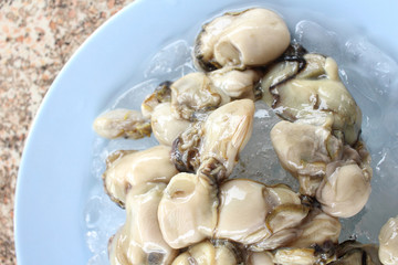 Freshly oysters