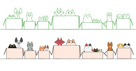 cats in boxes in a raw 