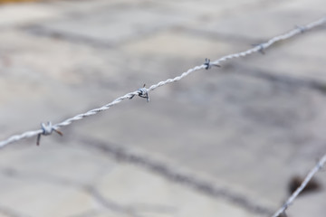 Barbed wire metallic fence