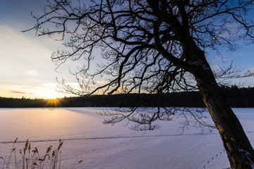 Sunset Scene with Frozen Lake Covered with Snow and Tree on Foreground