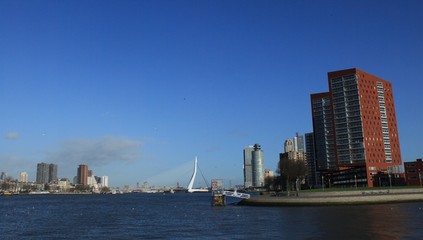 Fototapeta premium Rotterdam, Blick von Katendrecht in Richtung Stadtzentrum