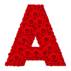 Rose alphabet set - Alphabet capital letter A made from red rose