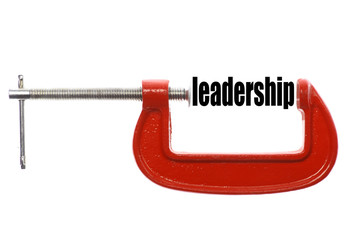 Compressed leadership concept