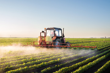 Obraz premium Tractor spraying soybean field