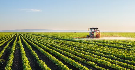 Fototapete Traktor Tractor spraying soybean field
