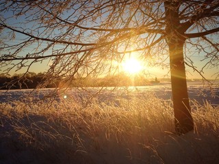 Winterlandschaft bei Sonnenaufgang