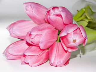 Букет тюльпанов