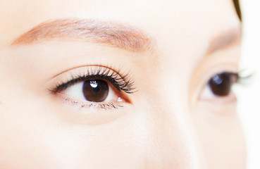 Obraz premium Closeup shot of young beautiful woman eyes