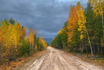 Naklejka premium Autumn in Siberia.