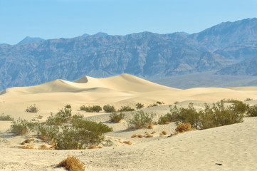 Fototapeta na wymiar Death Valley sand dunes, California