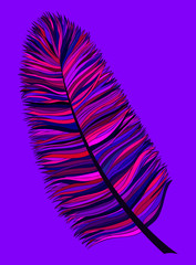 Abstract hand drawn feather