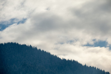 Pines on mountains in winter time