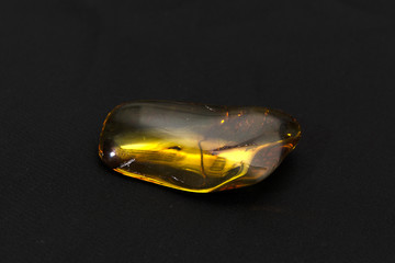 Amber with prehistoric insects inside