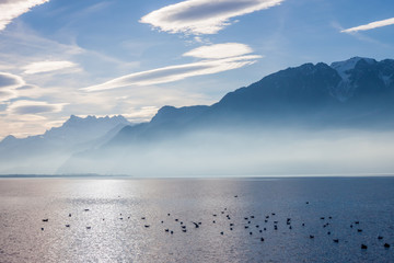 View on Alps and Geneva lake