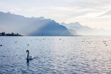 View on Alps and Geneva lake