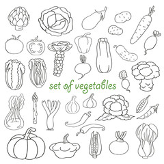 Doodle set of vegetables