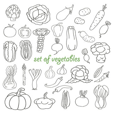 Doodle set of vegetables