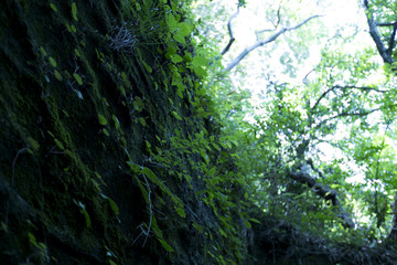 鋸山（千葉県）