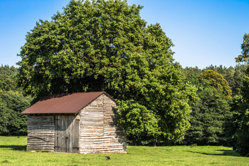 Fototapeta na wymiar Landscape of rural barn for hay on a meadow
