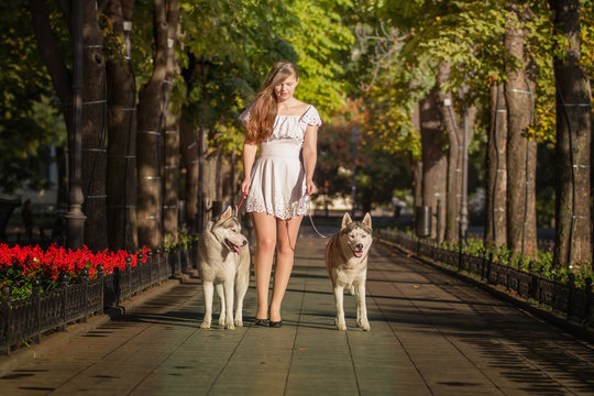Young girl walking down the street with two dogs. A girl in a white dress. Siberian Huskies.